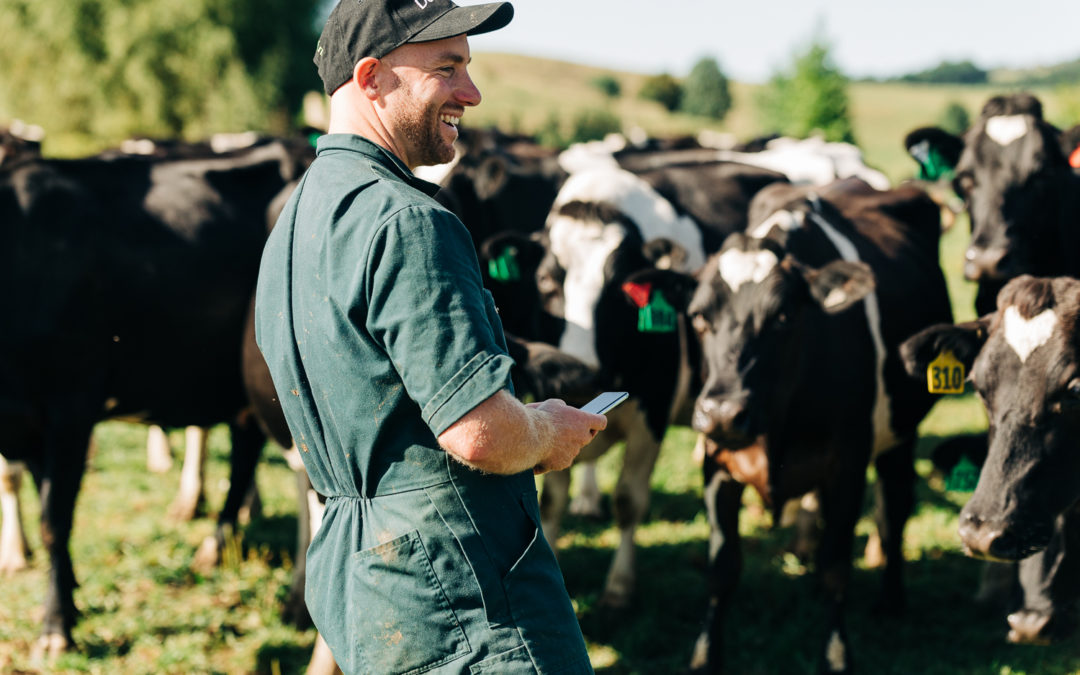 Waikato farmer plans ahead to avoid feed shortages