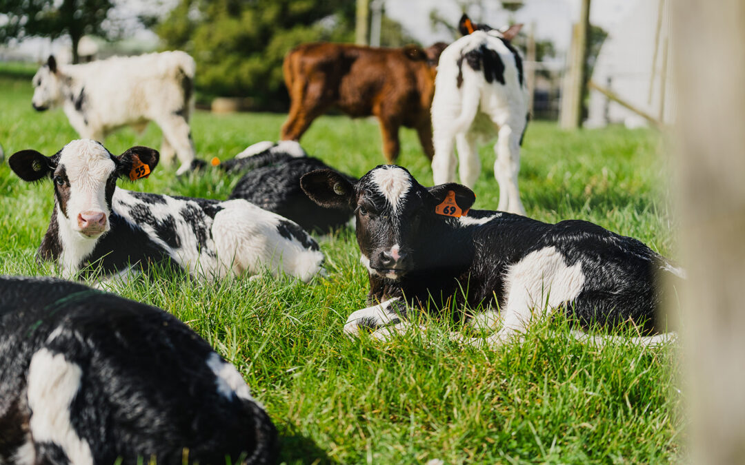 GRAINCORP ANNOUNCES NEW PARTNERSHIP